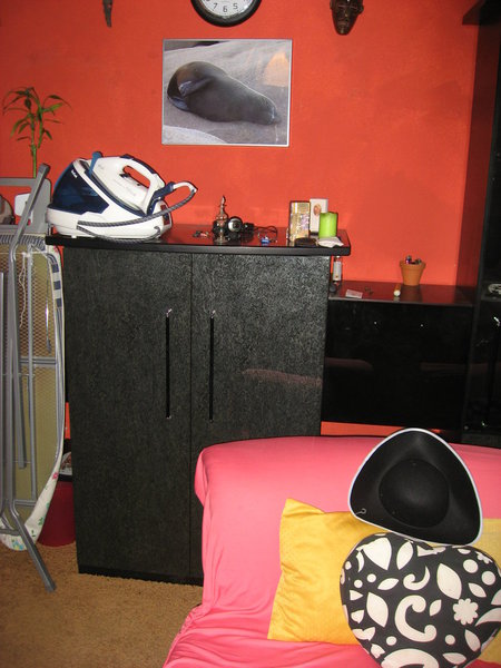 Mittleres Schrankteil